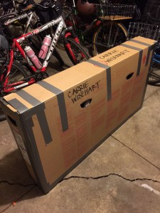 bike bed