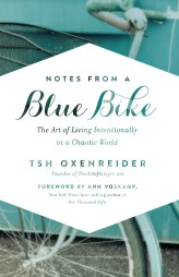 blue-bike-cover